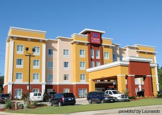 Comfort Suites Near Tanger Outlet Mall Gonzales Luaran gambar